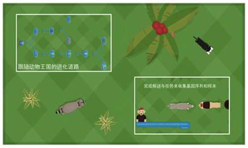 ֻ޸