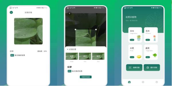 С԰app°