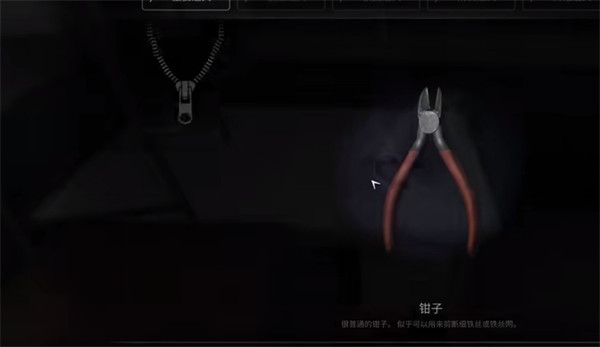 ɫ˽
